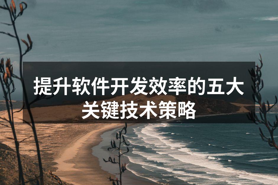 提升软件开发效率的五大关键技术策略