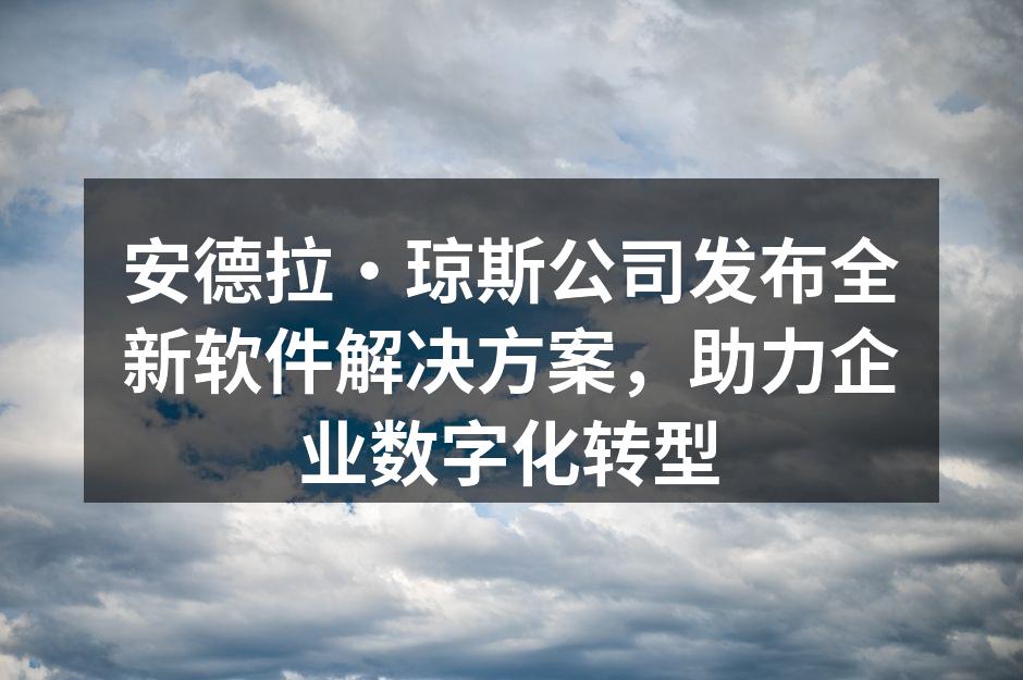 安德拉·琼斯公司全新软件发布会现场